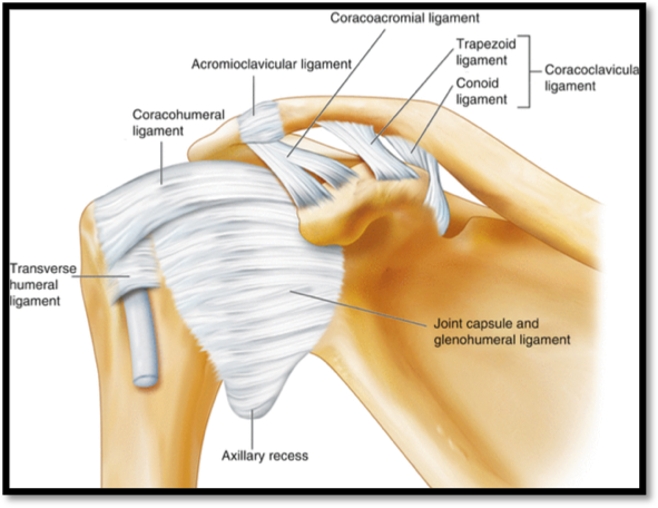 Best Shoulder replacement surgeon | Shoulder arthroscopy doctor in Surat